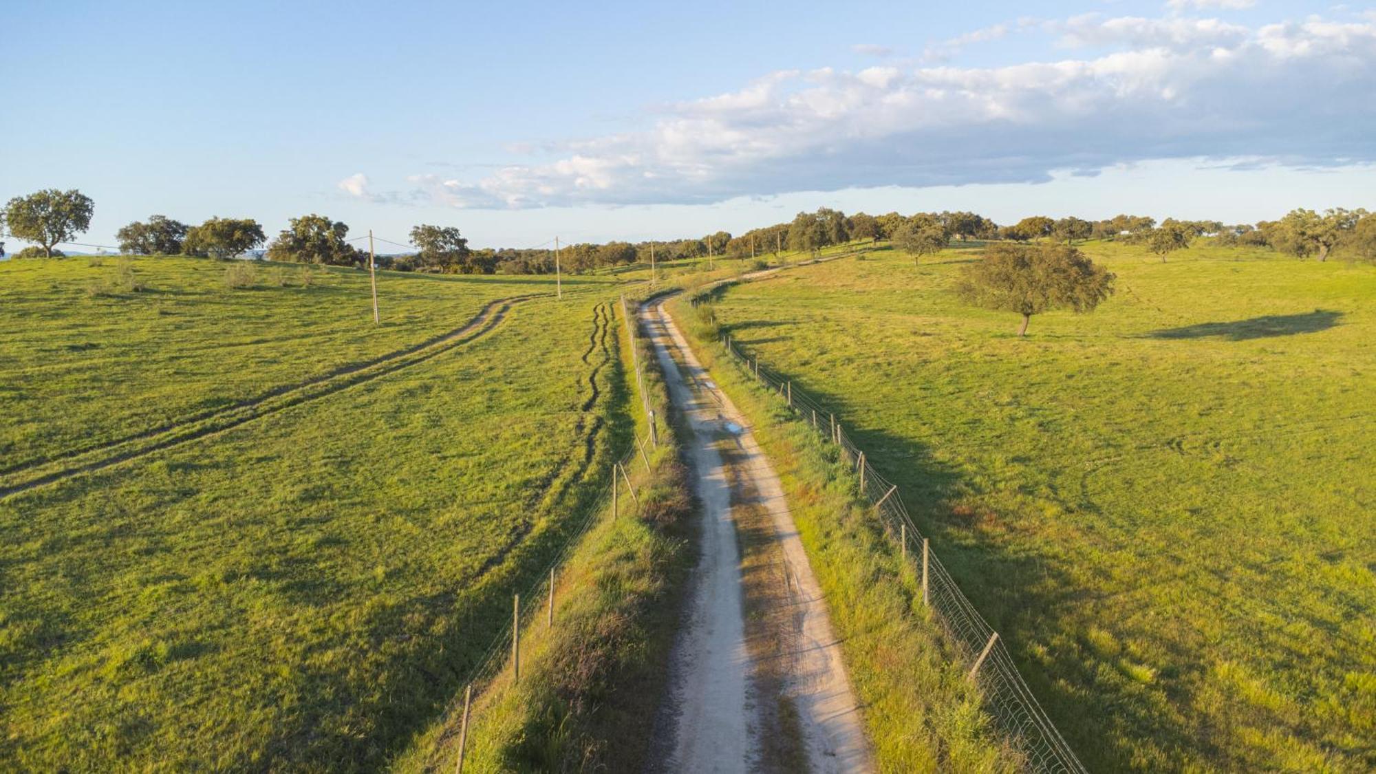 Herdade Do Charito Elvas Luaran gambar